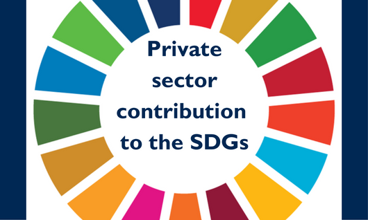 Reporting on the SDGs: measuring today’s contributions and educating ...