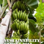 Sustainability Report 2018